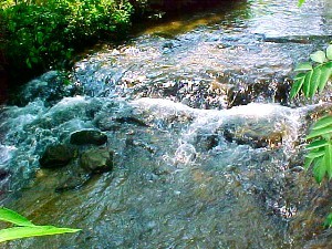 Twin Creeks